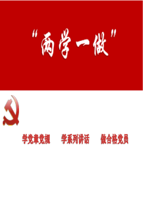 两学一做党课课件.