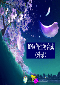 RNA的生物合成(转录)