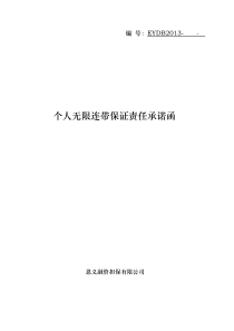 个人无限连带保证责任