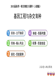 XXXX届高考一轮生物复习课件：基因工程与杂交育种(上课用)
