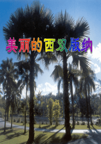 《美丽的西双版纳》课件(共54张)