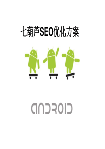 七葫芦网站SEO优化方案