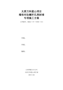 万科蓝山对拉螺栓孔洞封堵专项方案
