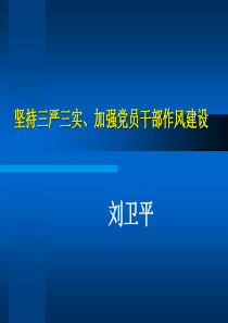 三严三实培训讲座