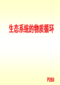 [史上最强生物课件]生态系统2——物质循环复习 0910