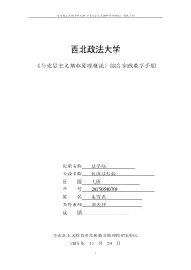 《马克思主义基本原理概论》综合实践教学手册