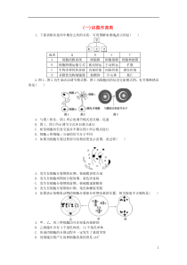 【优化方案】高考生物二轮复习特色专项训练1热点题型冲刺(一)识图作答类