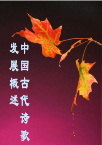 上海浦东新区2012年高三综合练习