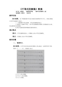 不等式的解集  教案