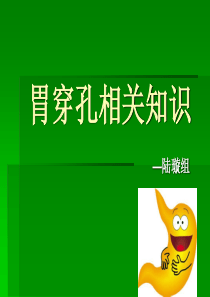 一例胃穿孔护理查房.