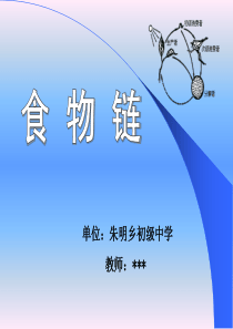七年级生物食物链教学课件