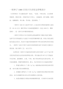 一粒种子1000目青汁告诉你怎样喝青汁