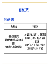 一轮复习动物细胞工程.