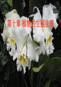 y第十章植物的生殖生理.