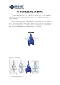 Z45暗杆弹性座封闸阀-上海嘉德阀门