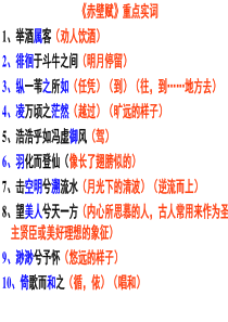 赤壁赋实词虚词