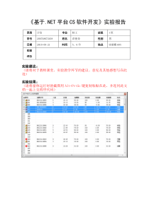 《基于.NET平台CS软件开发》实验报告