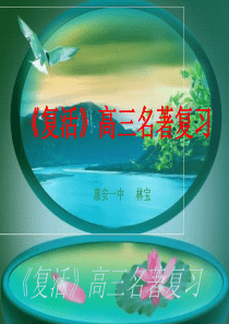 《复活》高三名著复习