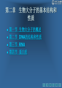 分子生物学02
