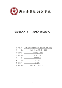 《(大数据时代)微软公司企业发展战略研究》
