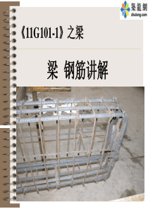 《11G101-1》图集梁配筋精解.