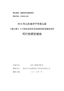 ※2016梁山农开综合项目小路口0203