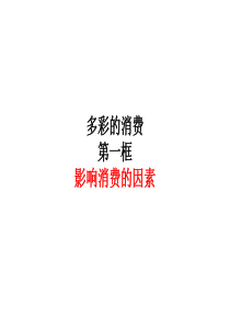 《影响消费的因素》