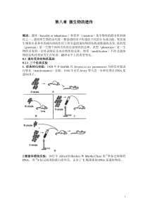 《微生物学》主要知识点-08第八章微生物的遗传
