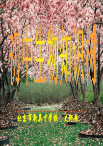 初中生物知识树
