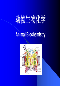 动物生物化学0578