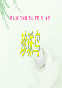 《珍珠鸟》课件(语文S版五年级下册课件)