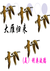 《大雁归来》课件.