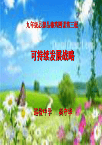 《实施可持续发展战略》.
