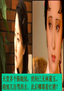 《林黛玉进贾府》ppt整理
