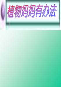 《植物妈妈有办法》课件.