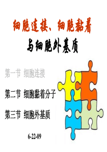 南开大学细胞生物学课件15第15章 细胞连接 6-22 puyue