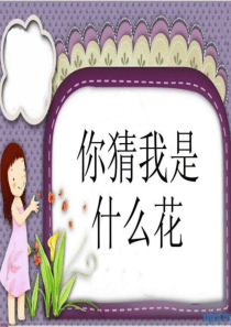 你猜我是什么花