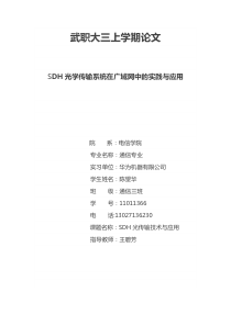 SDH光学传输系统在广域网中的实践与应用