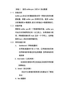SnifferPro分析IP协议数据