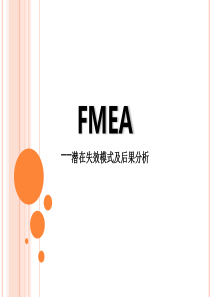 PFMEA-05D
