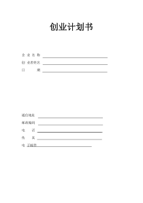 syb创业策划书--运动鞋备用