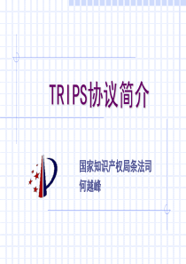 TRIPS协议简介