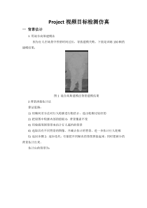 Project视频目标检测仿真