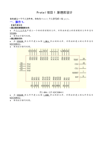Protel操作项目