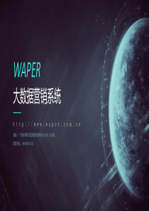 大数据营销系统V9（PPT39页)