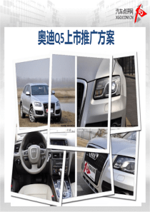 Q5上市推广方案.