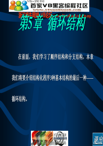 VB6教程第5章循环结构