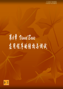 VisualBasic教程第6章VisualBasic应用程序的结构与调试