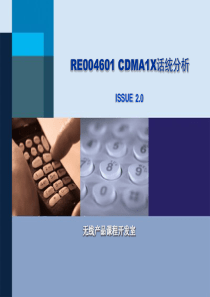 RE004601CDMA1X话统分析ISSUE20