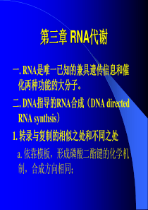RNA代谢.